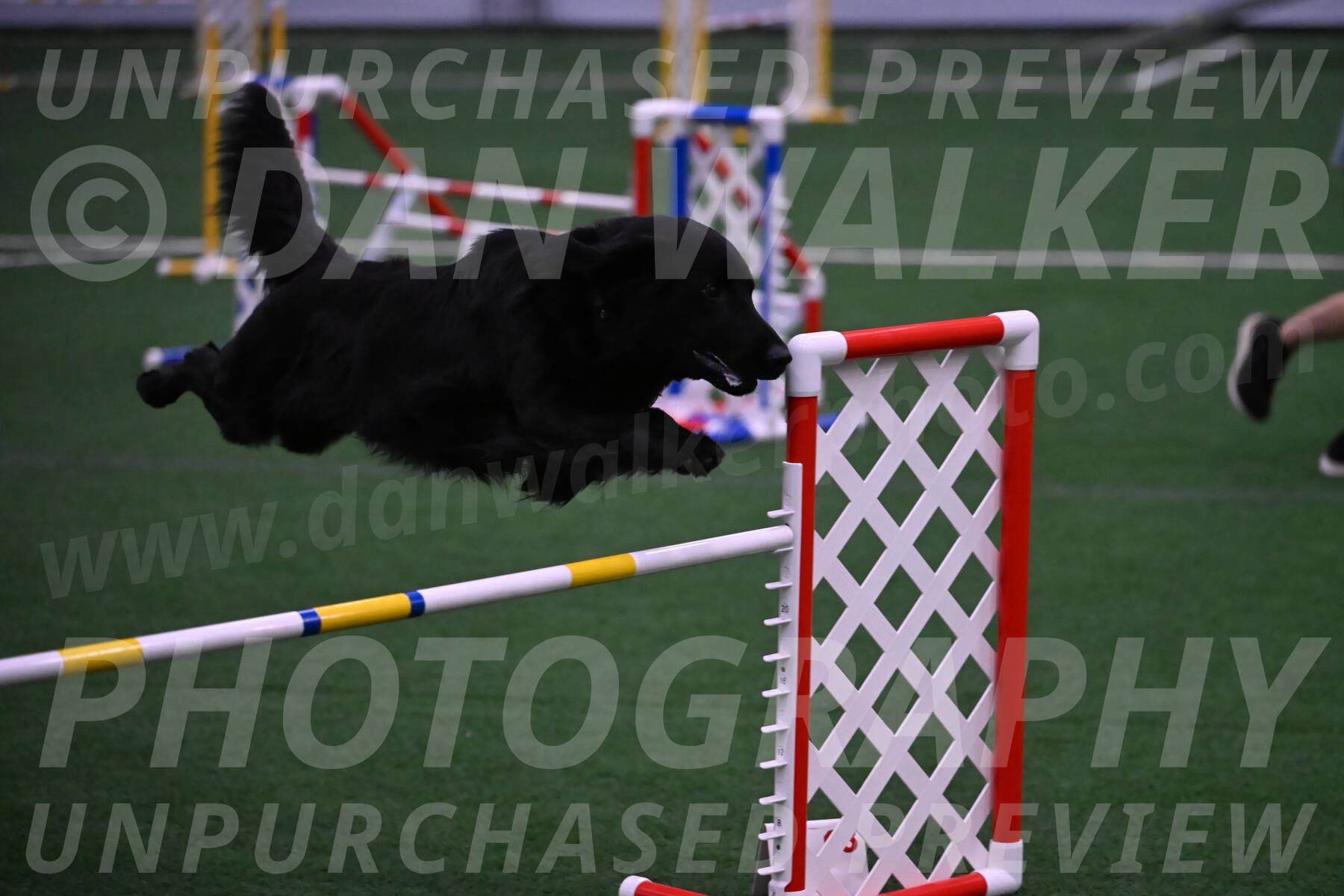 Chill-Anne-Lowe-04222