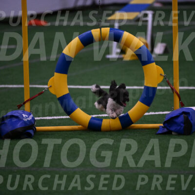 Cowboy-Janice-Bourell-Casey-09673