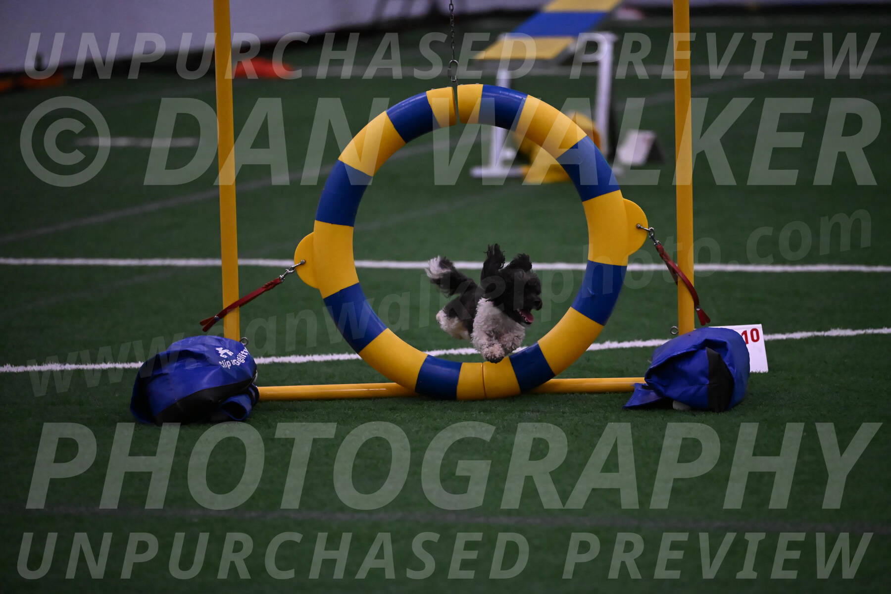 Cowboy-Janice-Bourell-Casey-09673