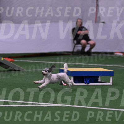 Daisy-Ann-Krizman-07472