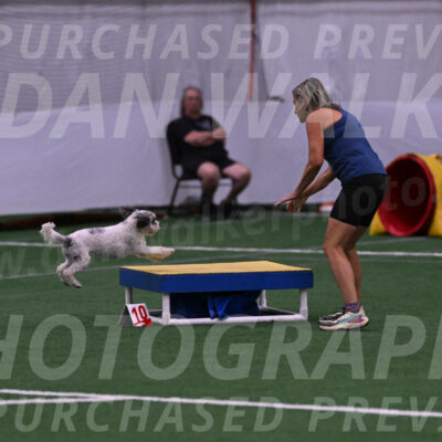 Daisy-Ann-Krizman-07473
