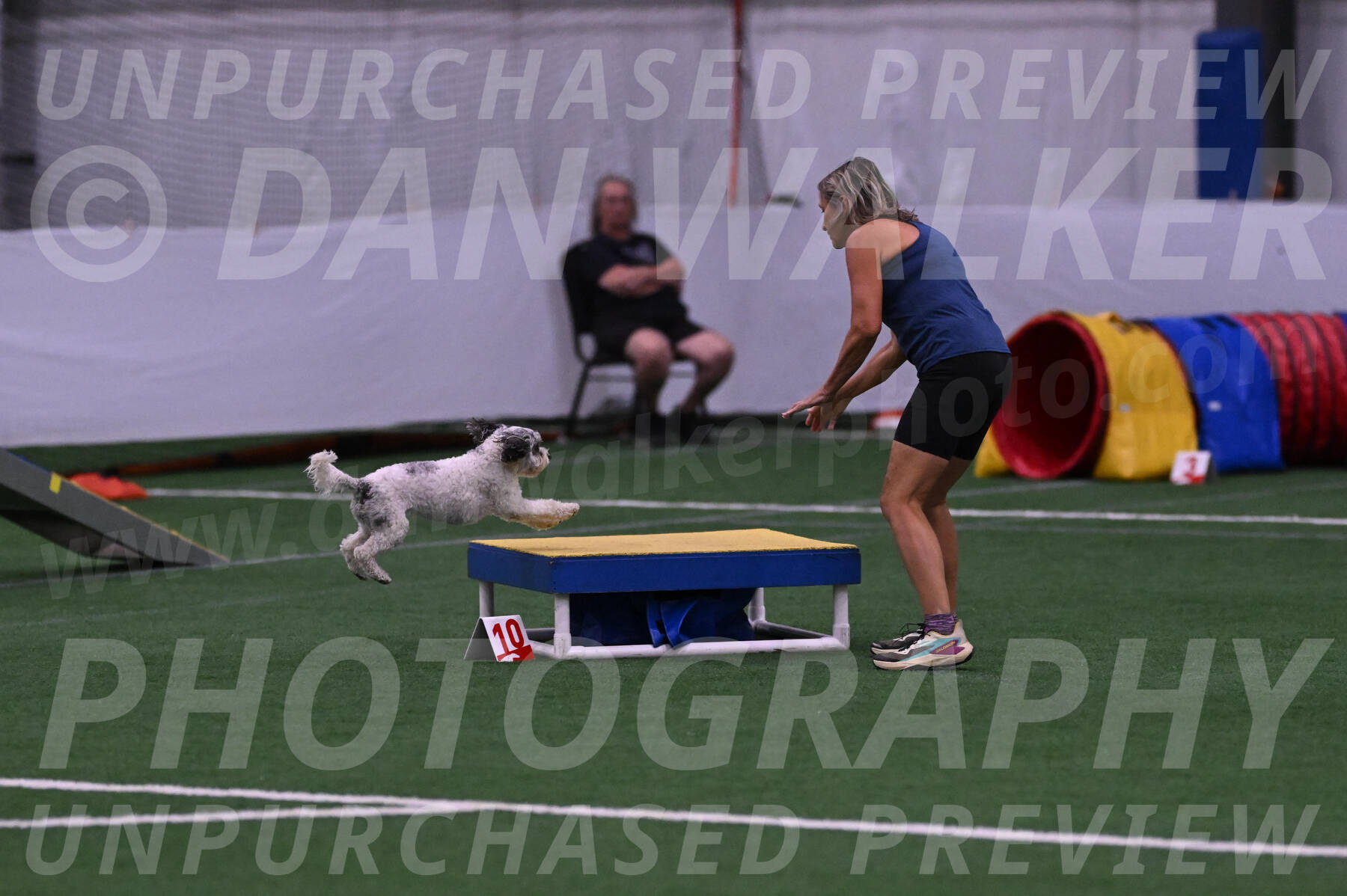 Daisy-Ann-Krizman-07473