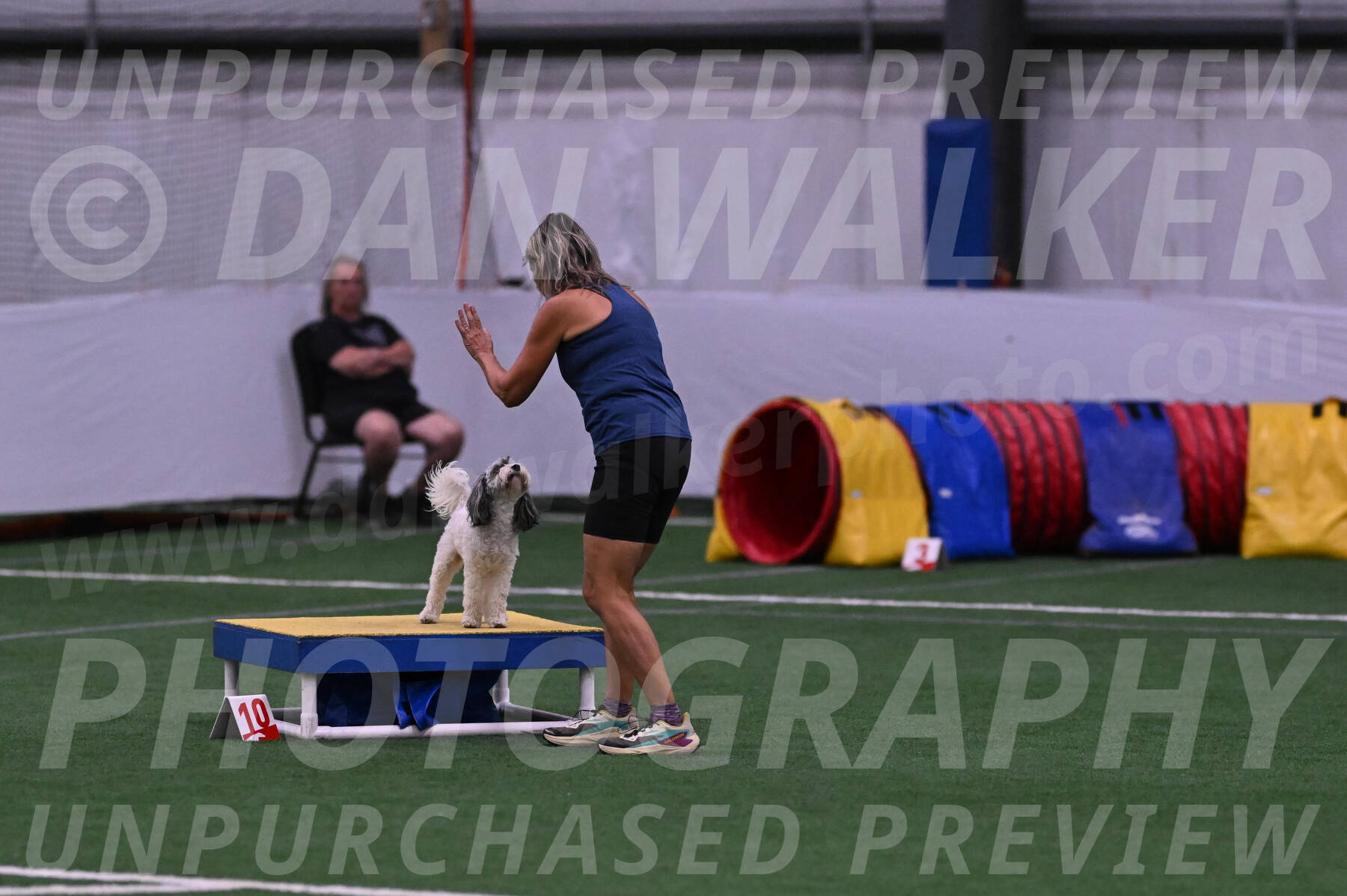 Daisy-Ann-Krizman-07484