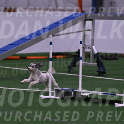 Daisy-Ann-Krizman-07496