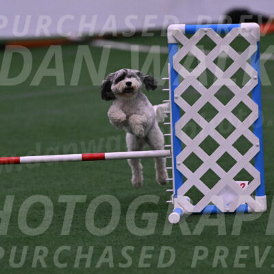 Daisy-Ann-Krizman-07510