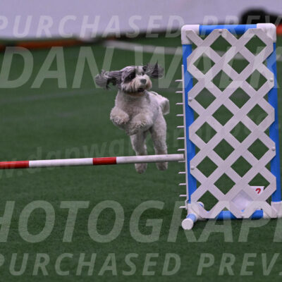 Daisy-Ann-Krizman-07511