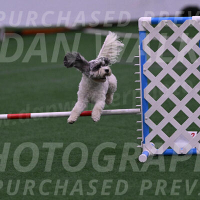 Daisy-Ann-Krizman-07513