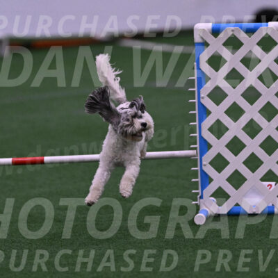 Daisy-Ann-Krizman-07514