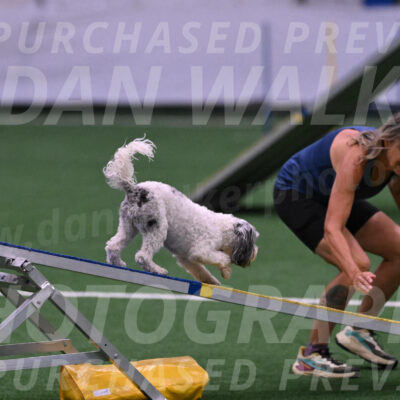 Daisy-Ann-Krizman-07519