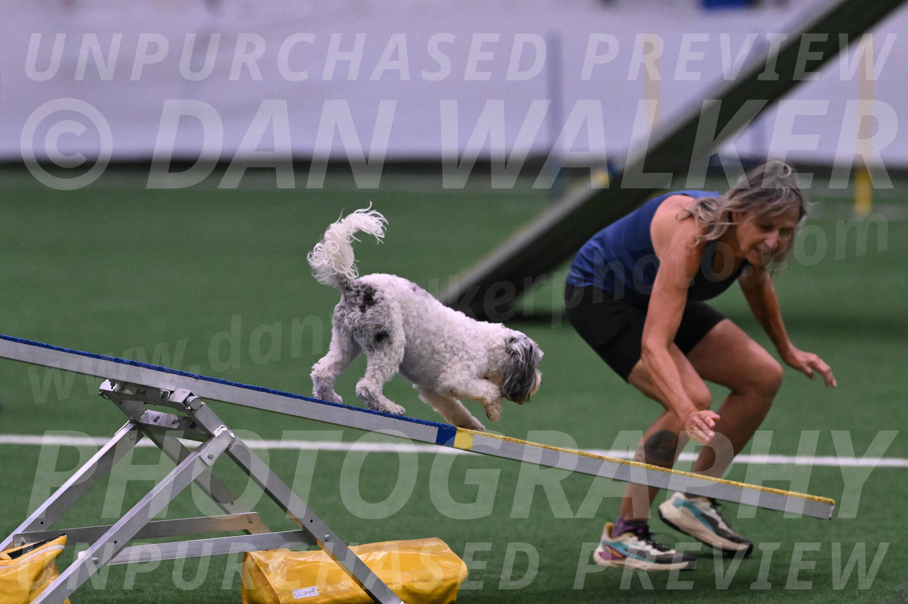 Daisy-Ann-Krizman-07519