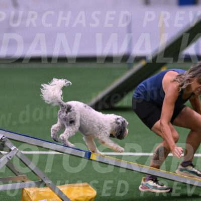 Daisy-Ann-Krizman-07520