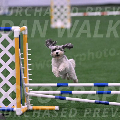 Daisy-Ann-Krizman-07529