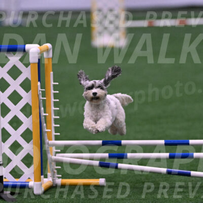 Daisy-Ann-Krizman-07530
