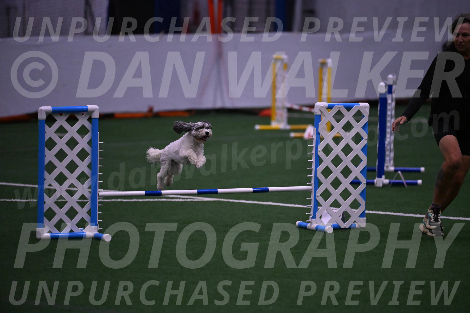 Daisy-Ann-Krizman-07545