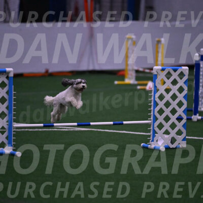 Daisy-Ann-Krizman-07545