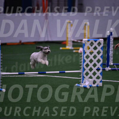 Daisy-Ann-Krizman-07546