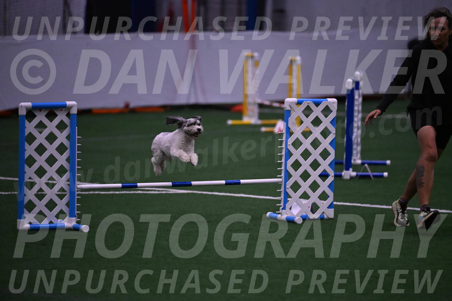 Daisy-Ann-Krizman-07546