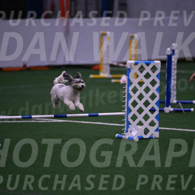 Daisy-Ann-Krizman-07547