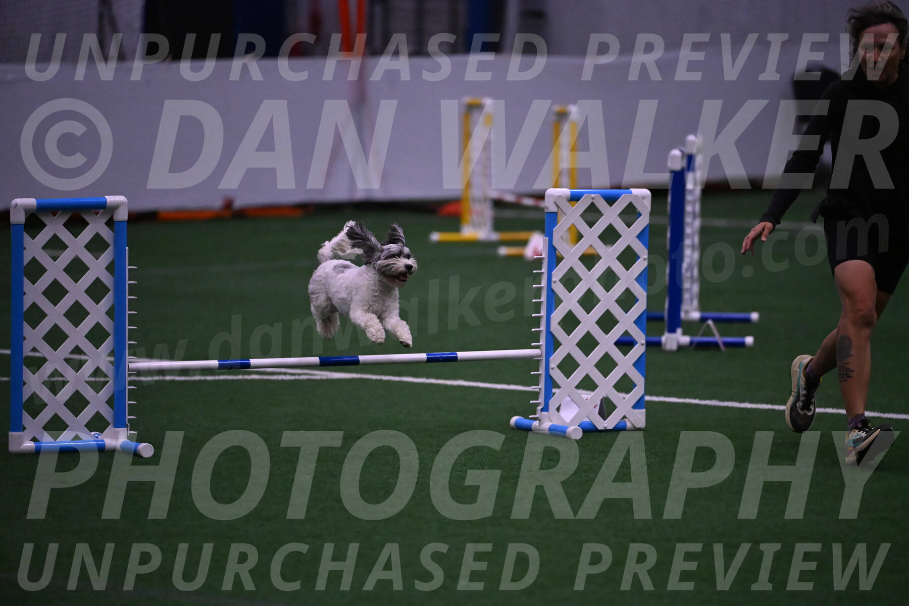 Daisy-Ann-Krizman-07547
