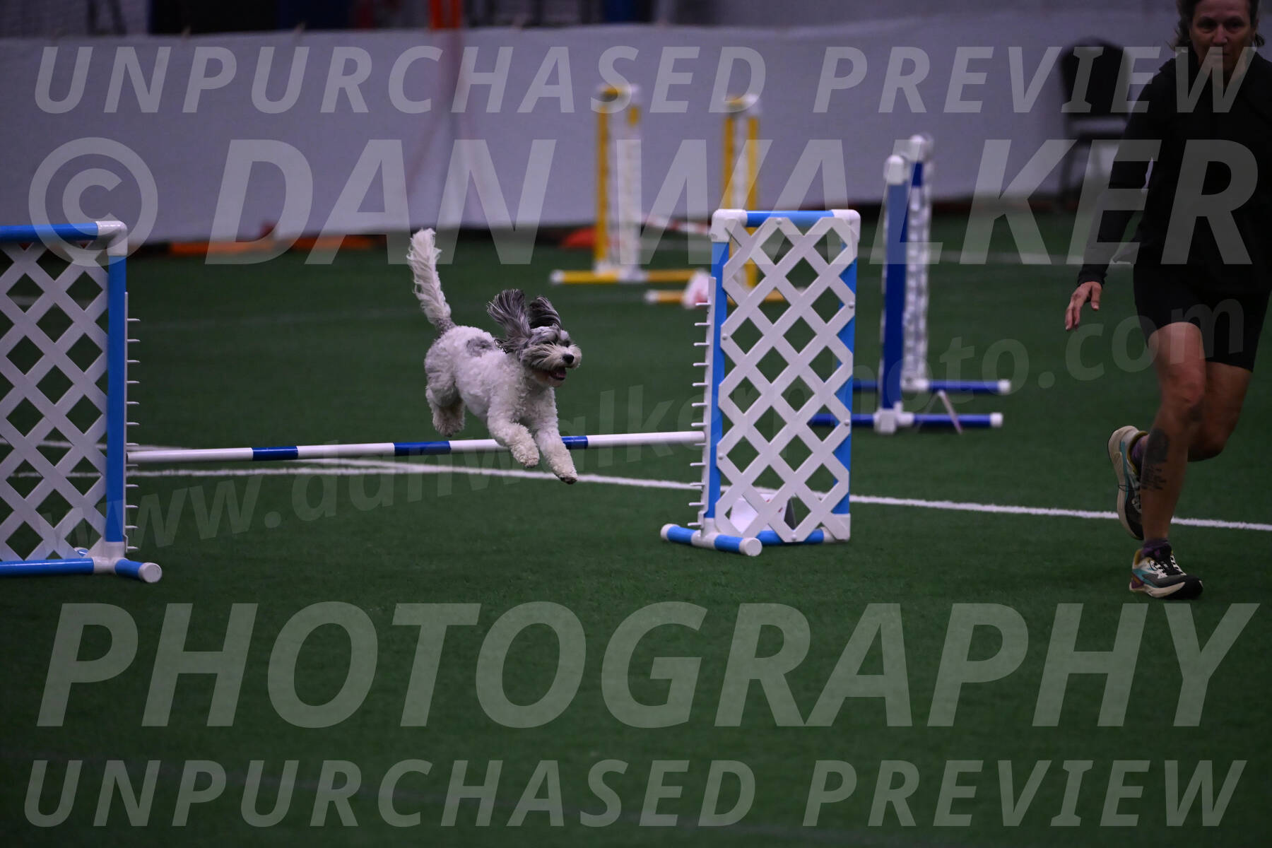 Daisy-Ann-Krizman-07548