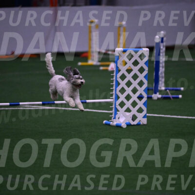 Daisy-Ann-Krizman-07548