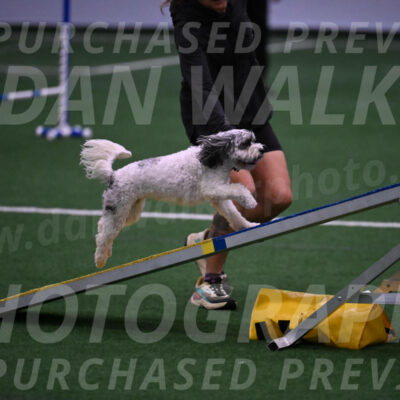 Daisy-Ann-Krizman-07549