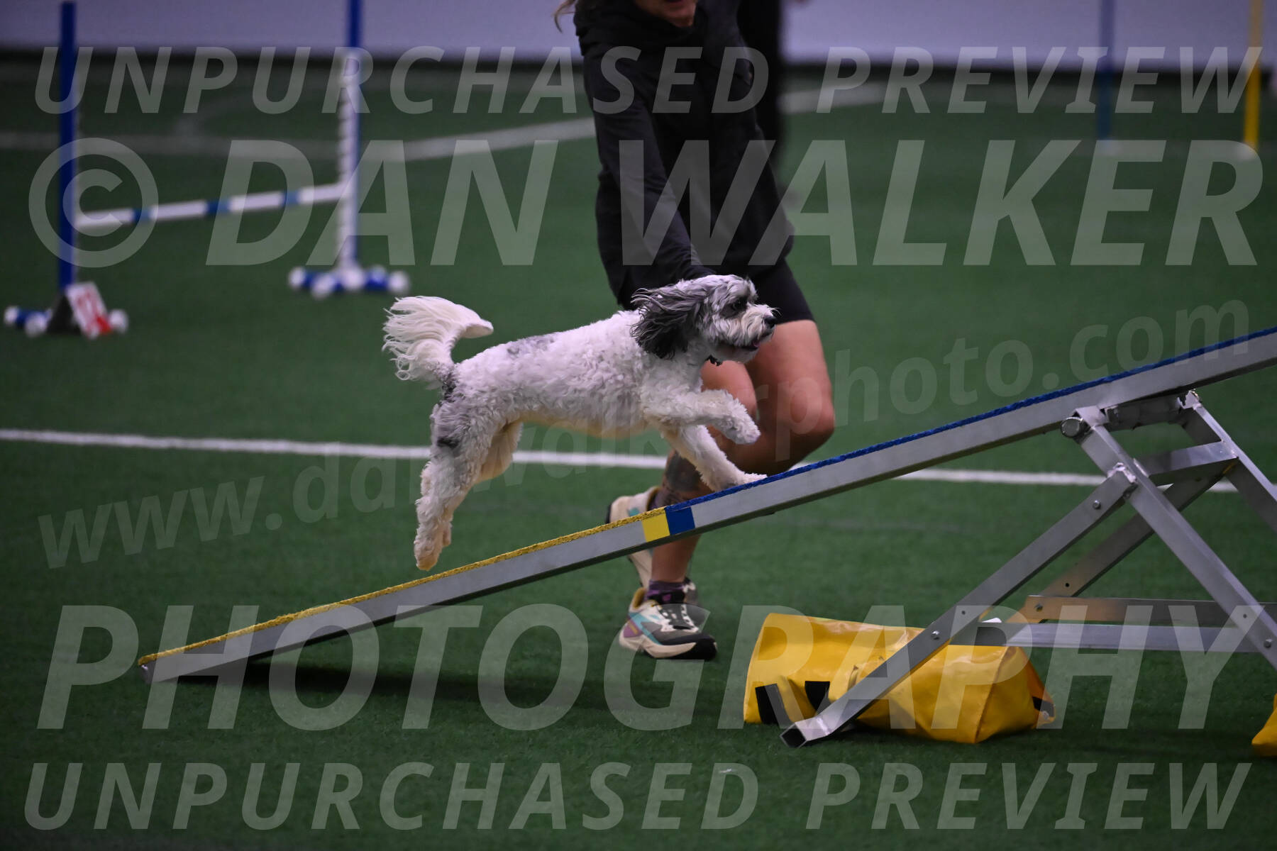 Daisy-Ann-Krizman-07549