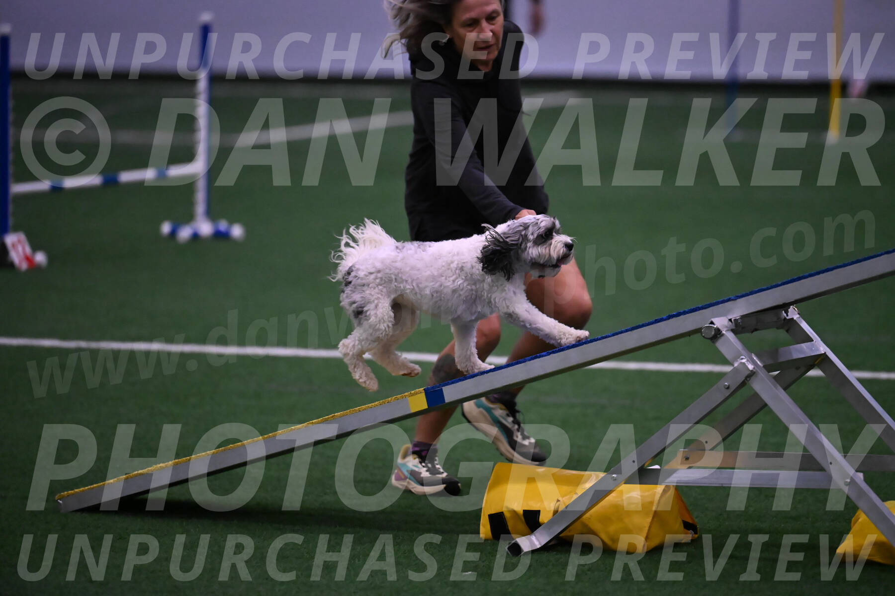 Daisy-Ann-Krizman-07550
