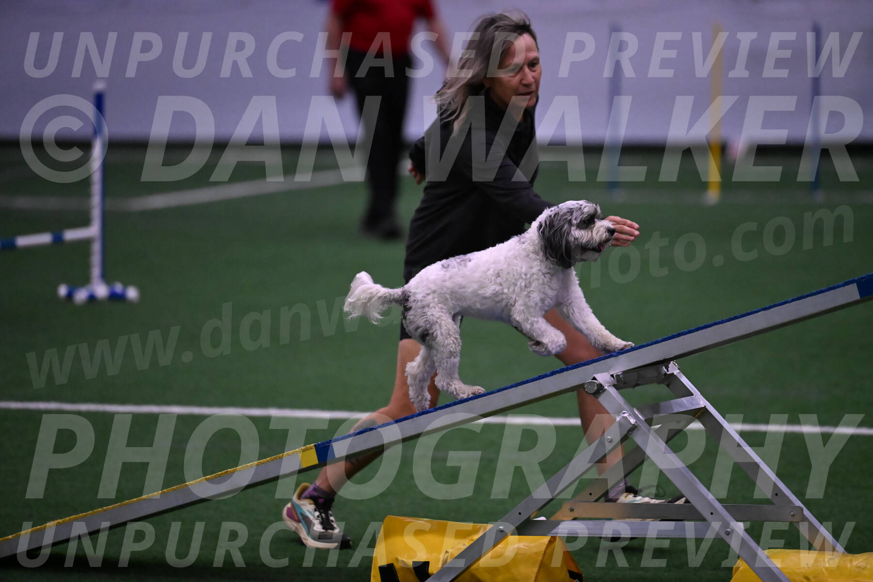 Daisy-Ann-Krizman-07552