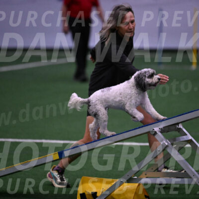 Daisy-Ann-Krizman-07552