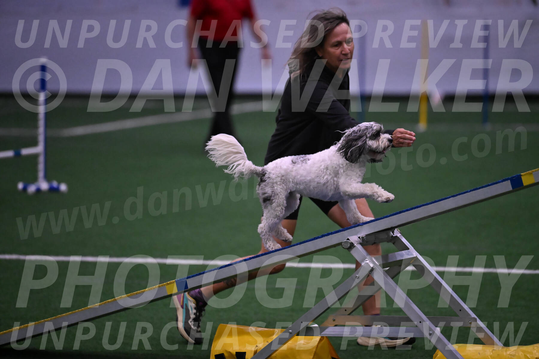 Daisy-Ann-Krizman-07553