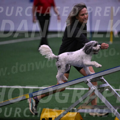 Daisy-Ann-Krizman-07553
