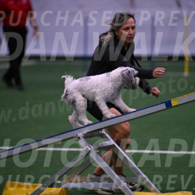 Daisy-Ann-Krizman-07554