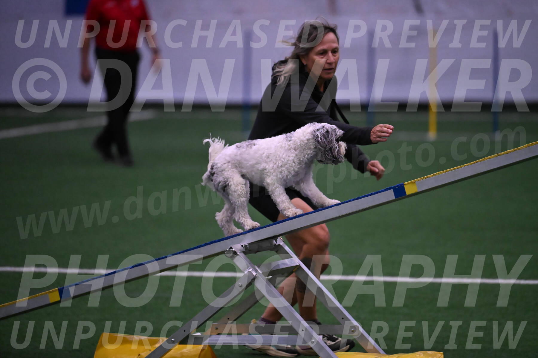 Daisy-Ann-Krizman-07554