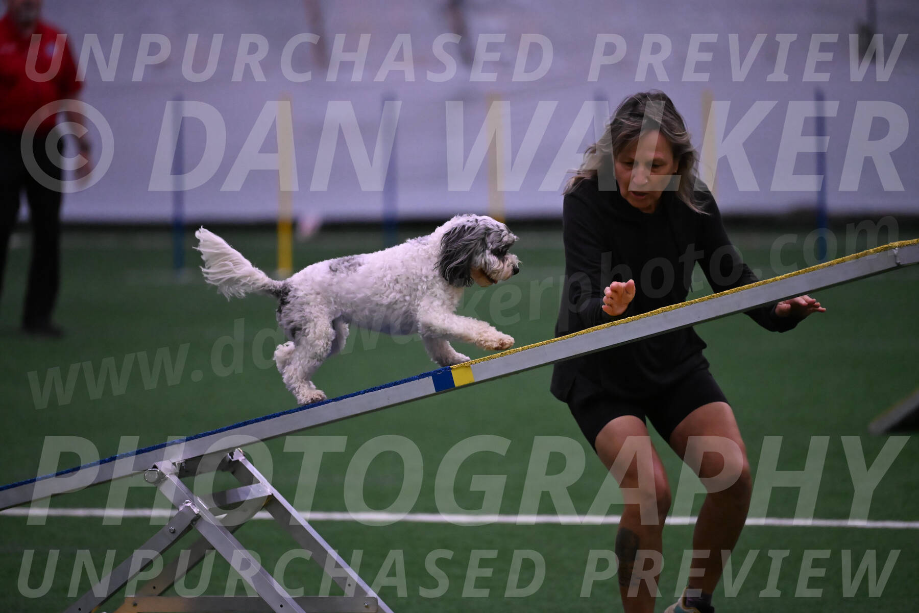 Daisy-Ann-Krizman-07559