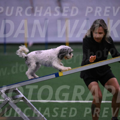 Daisy-Ann-Krizman-07560
