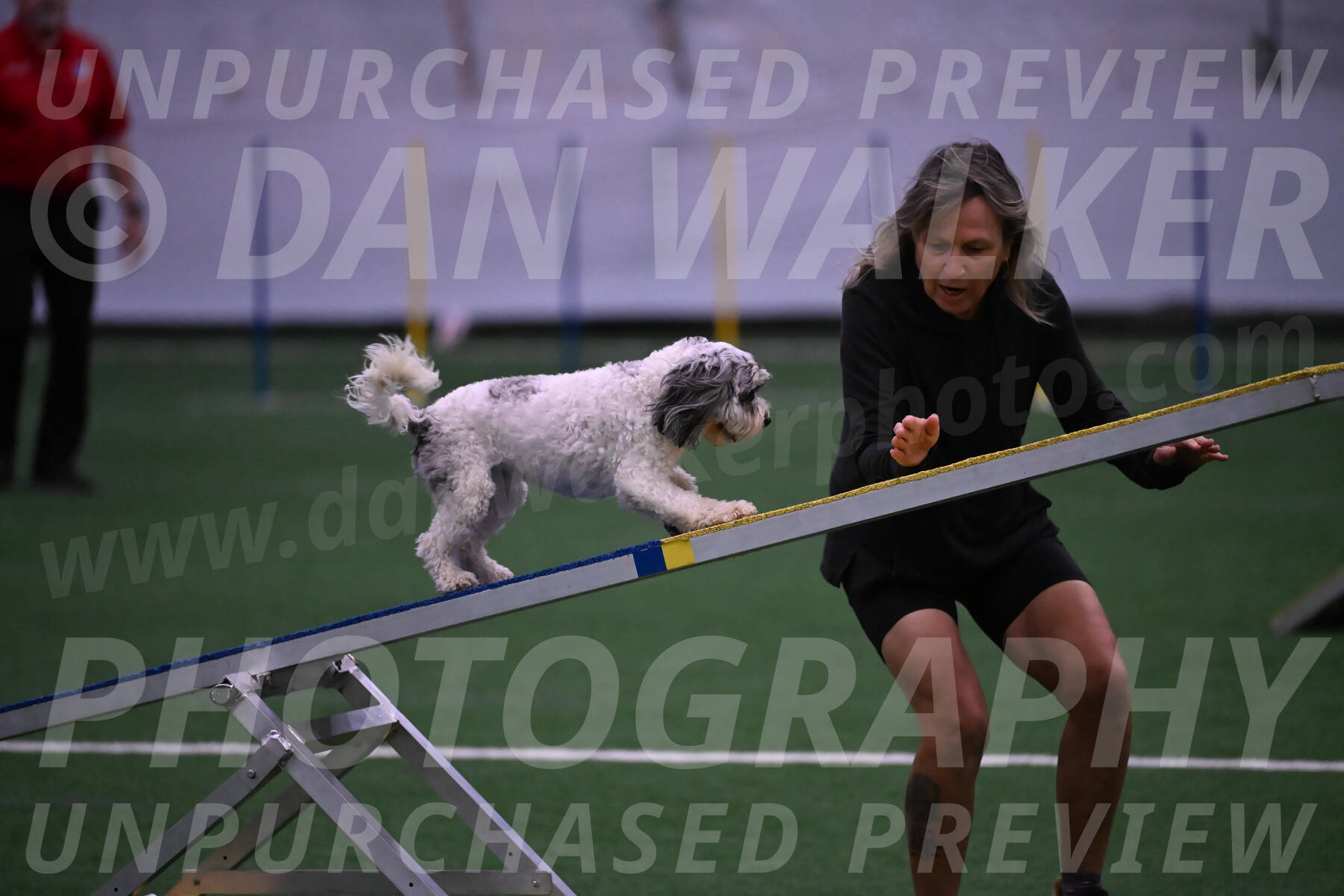 Daisy-Ann-Krizman-07560