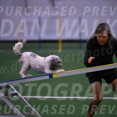Daisy-Ann-Krizman-07563