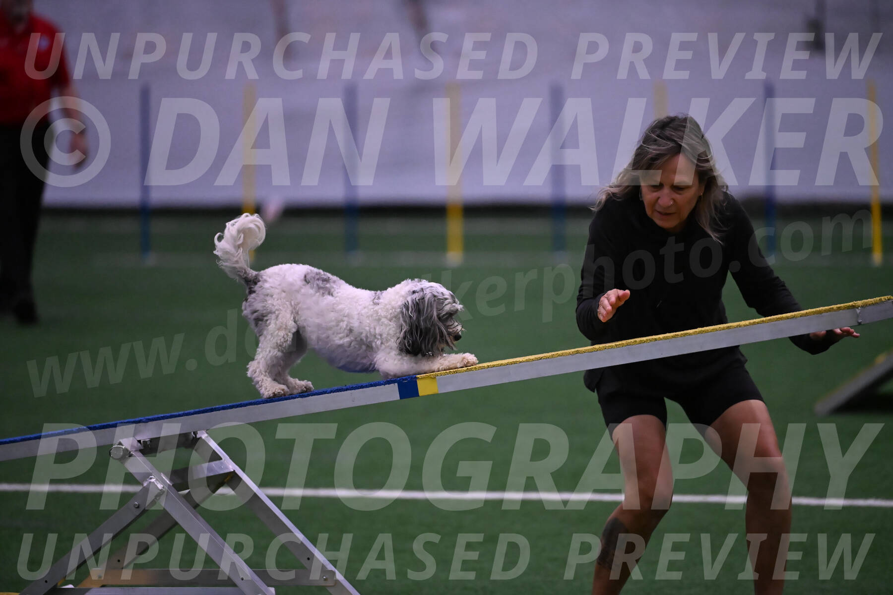 Daisy-Ann-Krizman-07563