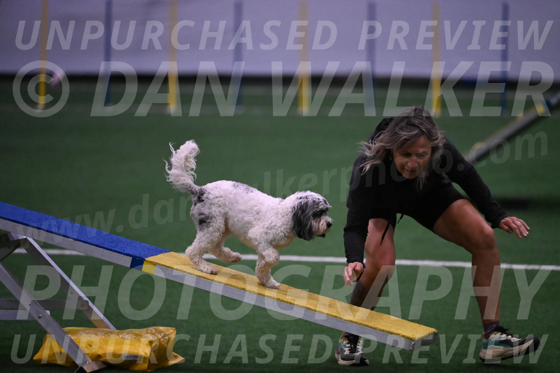 Daisy-Ann-Krizman-07565