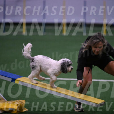Daisy-Ann-Krizman-07565