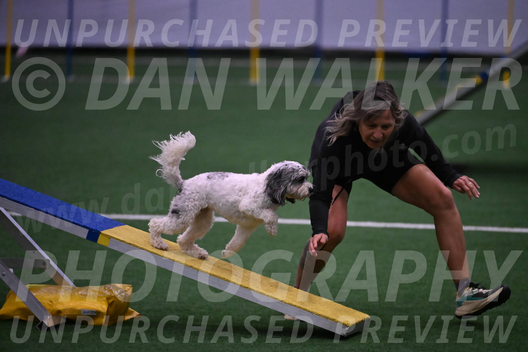 Daisy-Ann-Krizman-07566