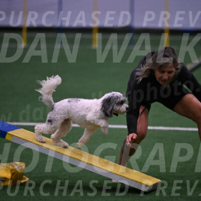 Daisy-Ann-Krizman-07566