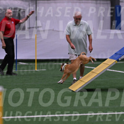 Danny-Blue-Michael-MacDonald-01545
