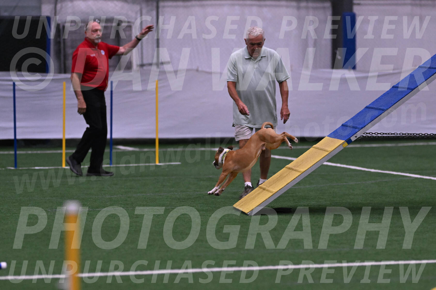 Danny-Blue-Michael-MacDonald-01545