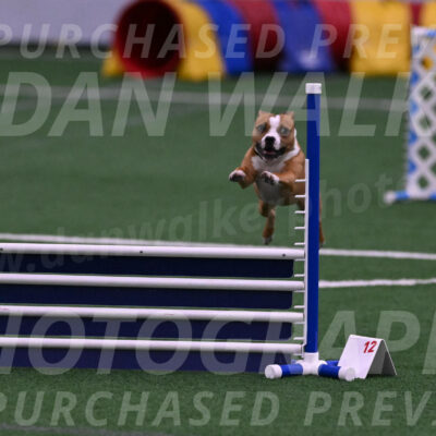 Danny-Blue-Michael-MacDonald-01550