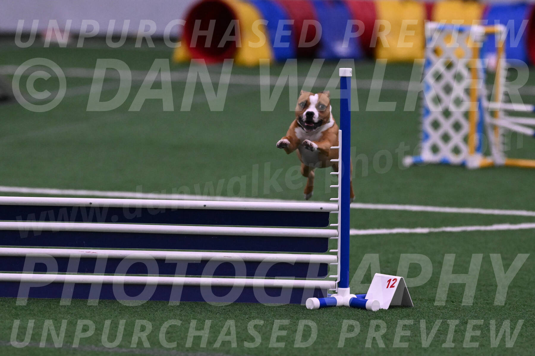 Danny-Blue-Michael-MacDonald-01550