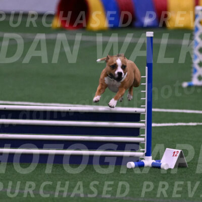 Danny-Blue-Michael-MacDonald-01552