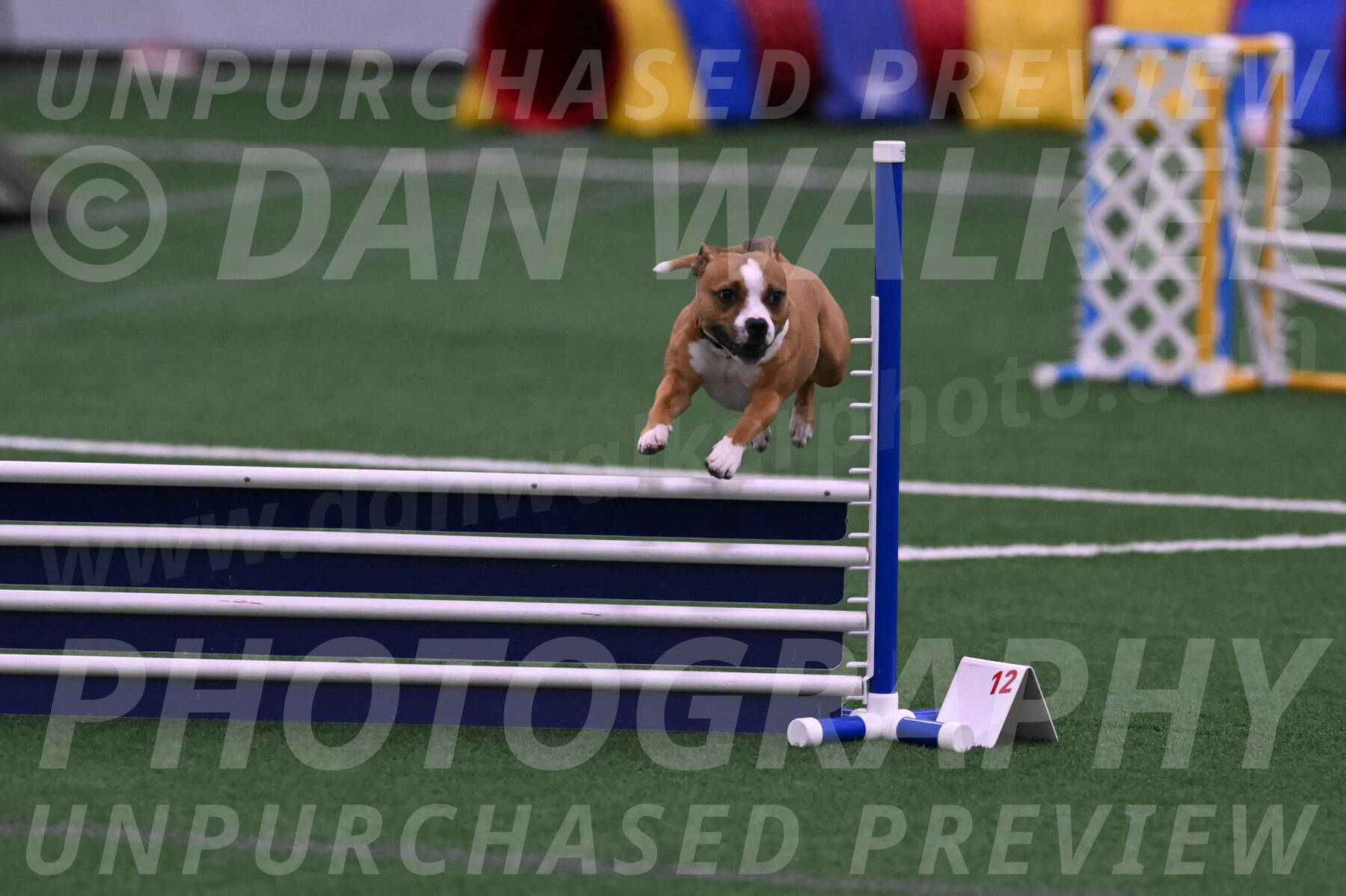 Danny-Blue-Michael-MacDonald-01552