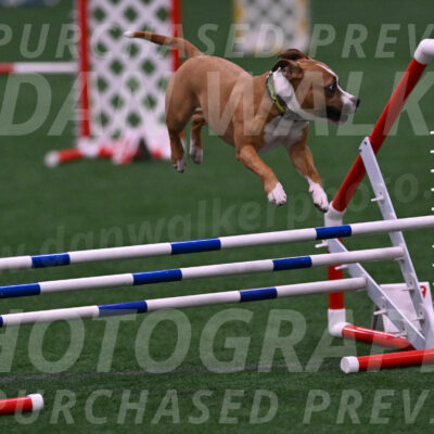Danny-Blue-Michael-MacDonald-01557
